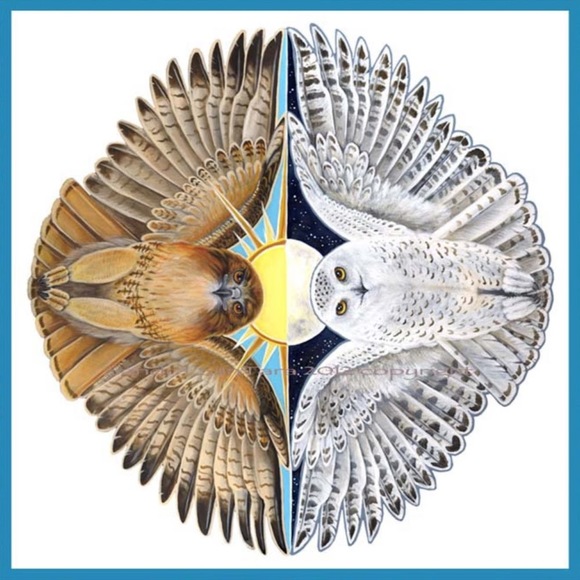 Meet your Posher, Karrie - Picture 1 of 1